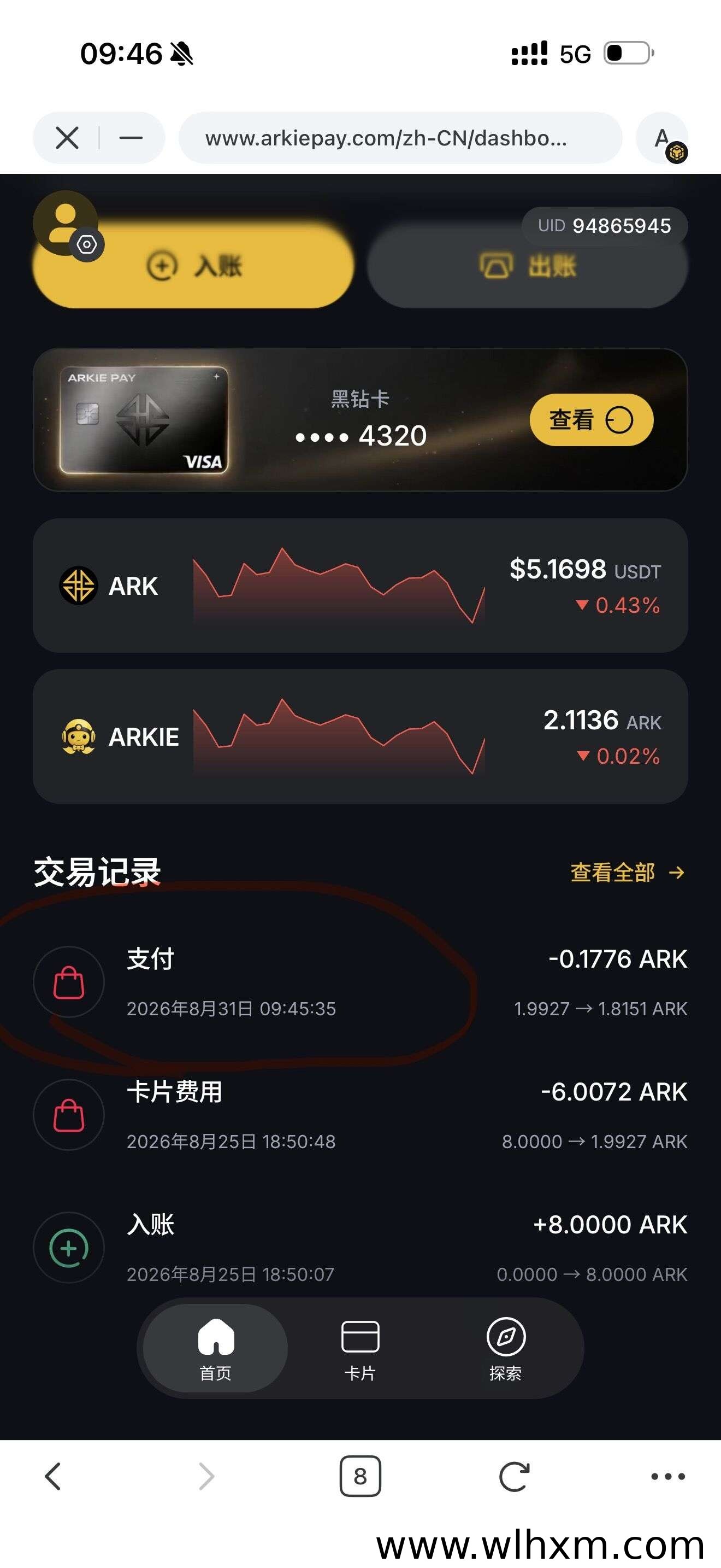 ARK生态解析:当Web3遇上AI与全球支付,落地应用正在发生