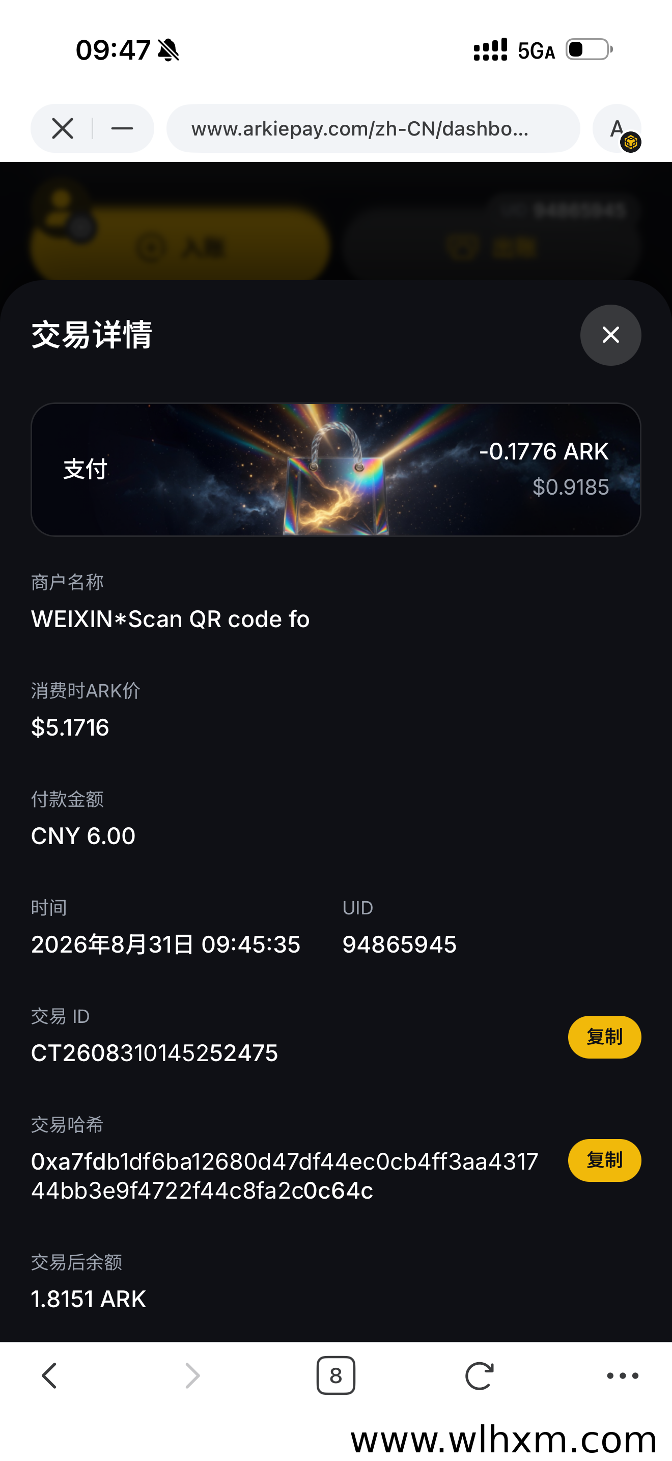 ARK生态解析:当Web3遇上AI与全球支付,落地应用正在发生