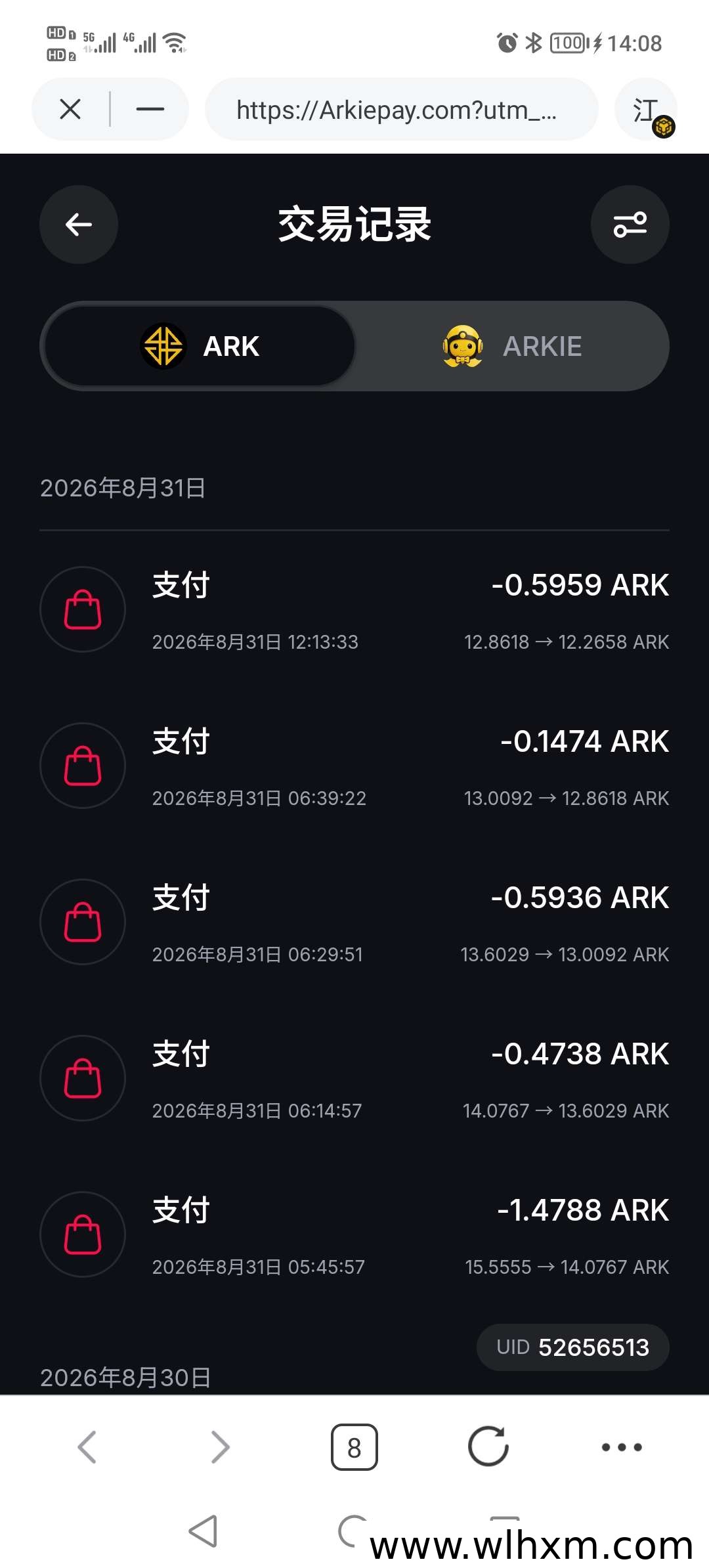 ARK生态再升级:AI应用、VISA支付与全球科技合作如何落地Web3场景