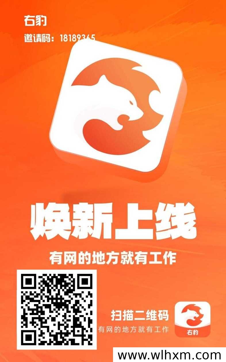 右豹平台新人注册指南：邀请码填写与推广赚钱方式解析