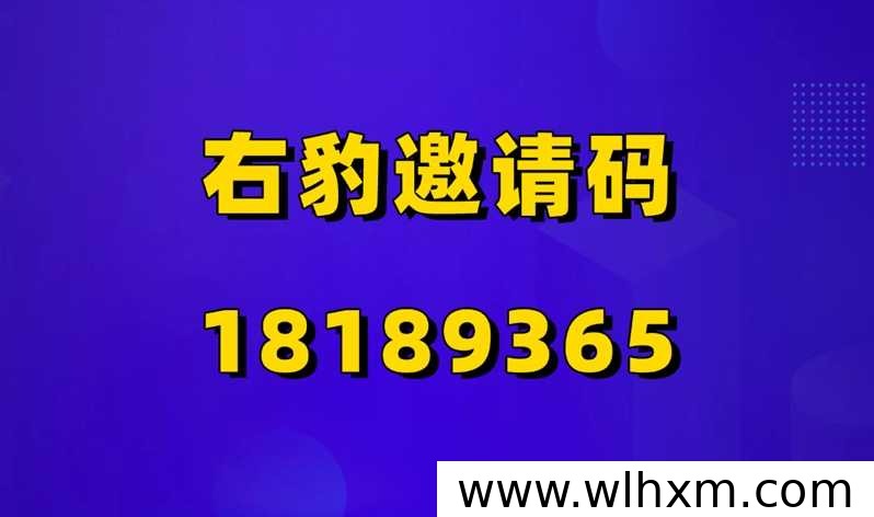 右豹平台新人注册指南:邀请码填写与推广赚钱方式解析
