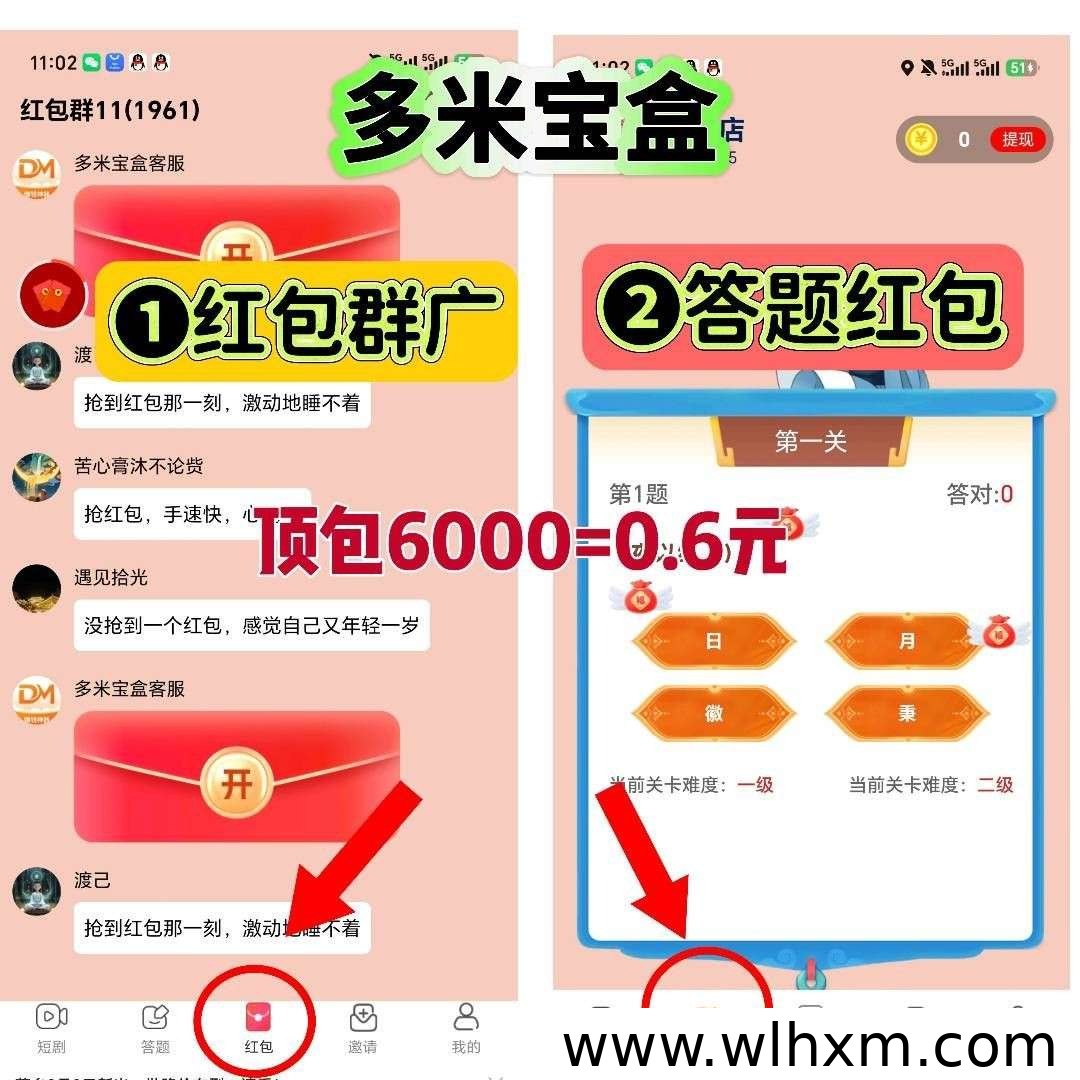 多米宝盒新手收益指南：全新上线，轻松积累零花钱