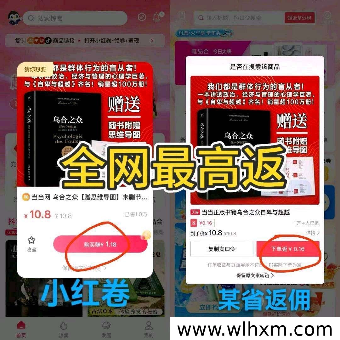 小红卷APP深度评测:购物返利与副业增收的新选择