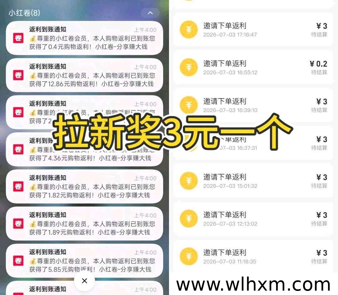 小红卷APP深度评测:购物返利与副业增收的新选择