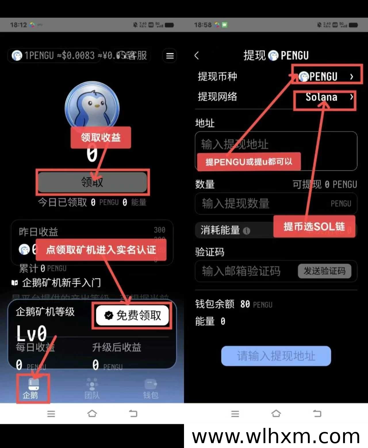 企鹅生态新项目上线:注册送矿机与代币,团队收益模式解析