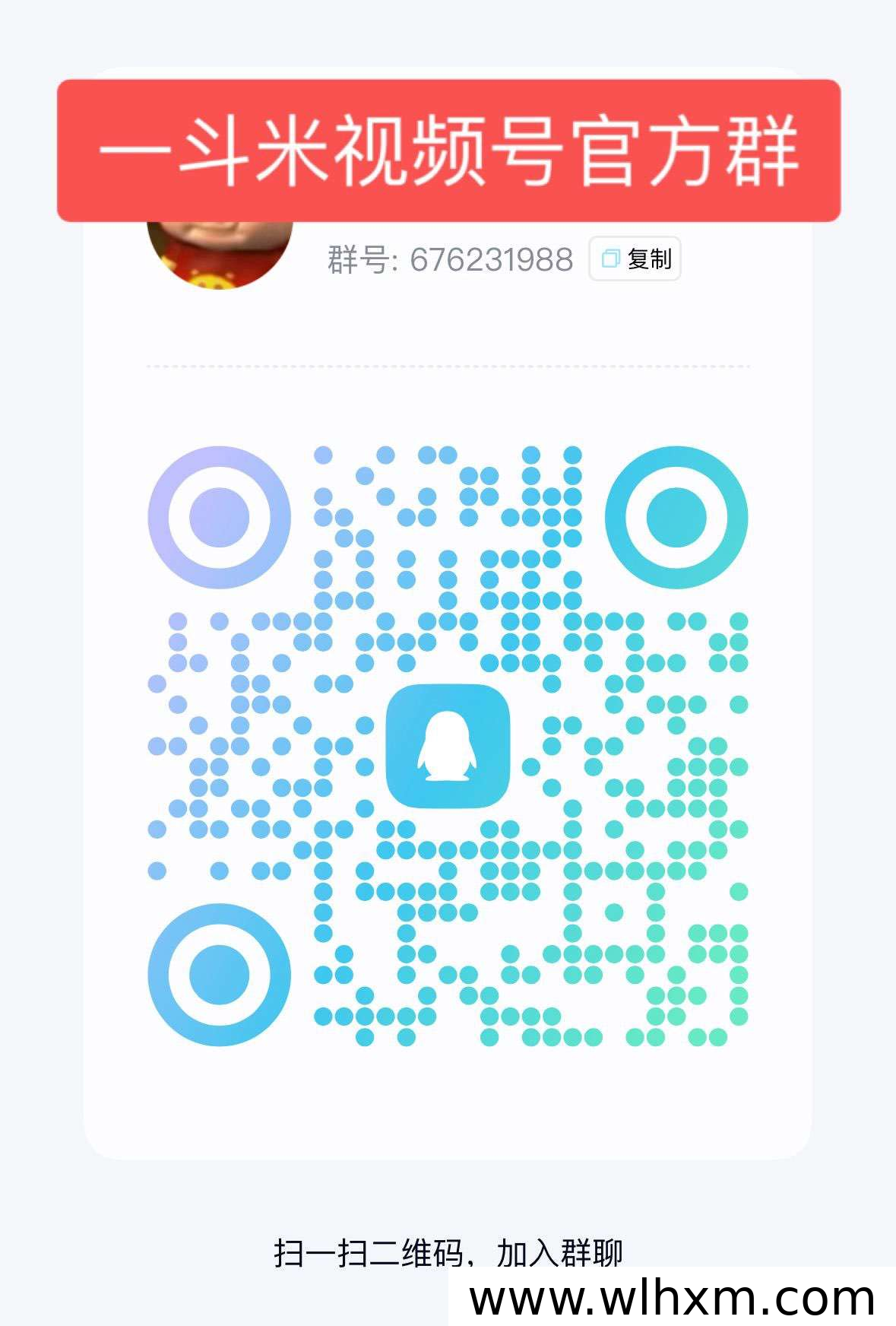 向日葵拉新项目首码期政策与操作流程解析