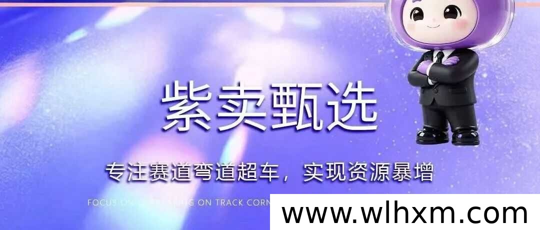 紫卖甄选轻创业模式解析:甄选好物如何打开私域新机会