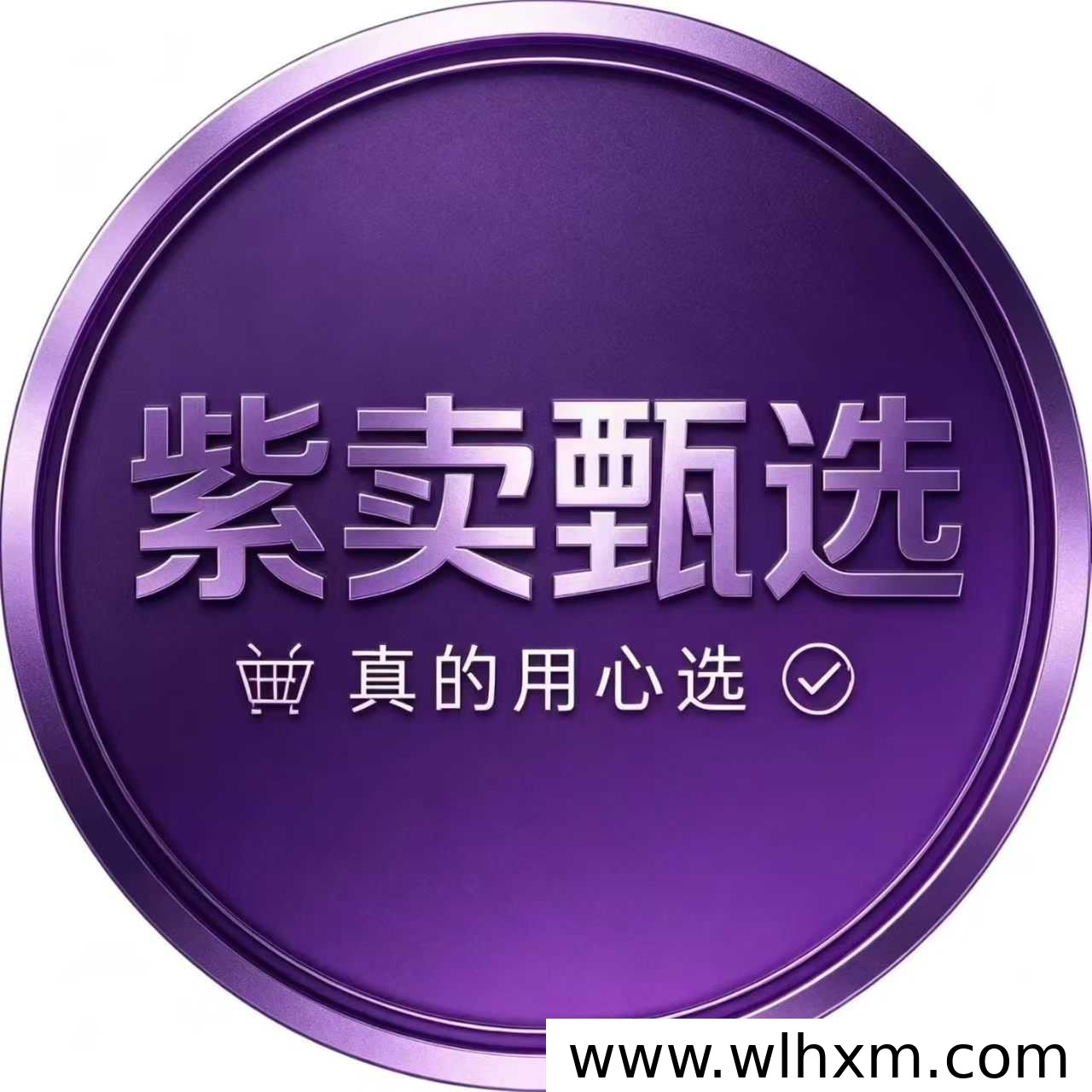紫卖甄选轻创业模式解析:甄选好物如何打开私域新机会