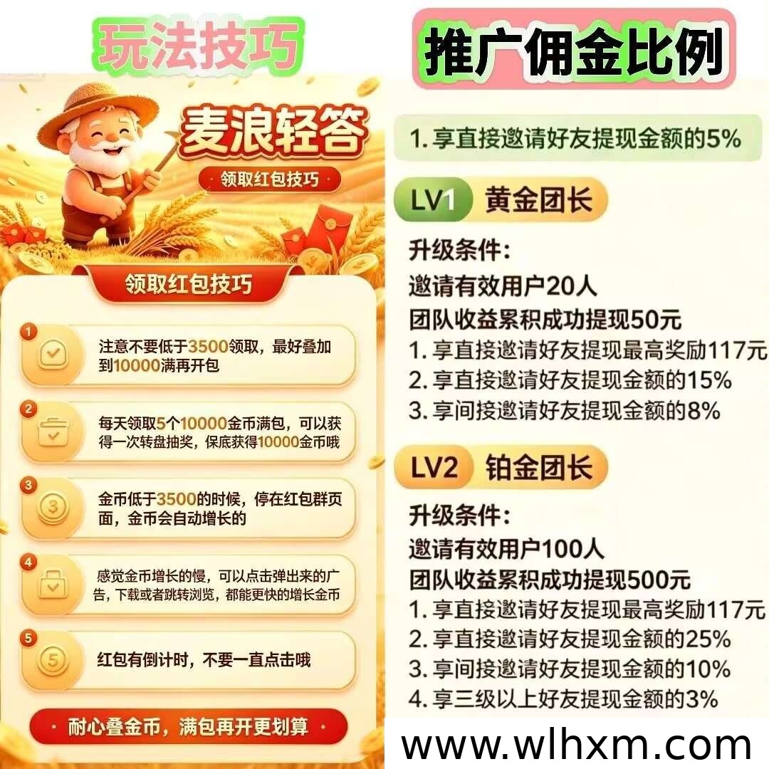 麦浪轻答大水台子首码上线及补贴玩法说明