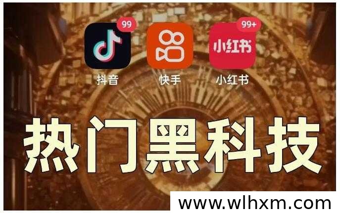抖音挂铁涨粉平台真相解析:副业变现模式与代理机制