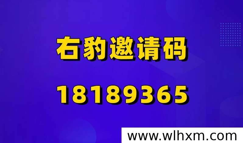 右豹高佣邀请码入口与网盘拉新权限解锁指南