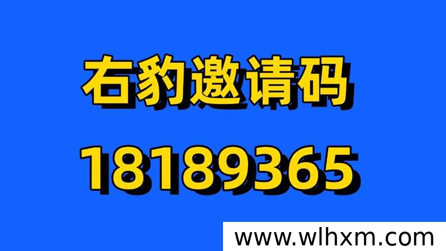 右豹高佣邀请码入口与网盘拉新权限解锁指南