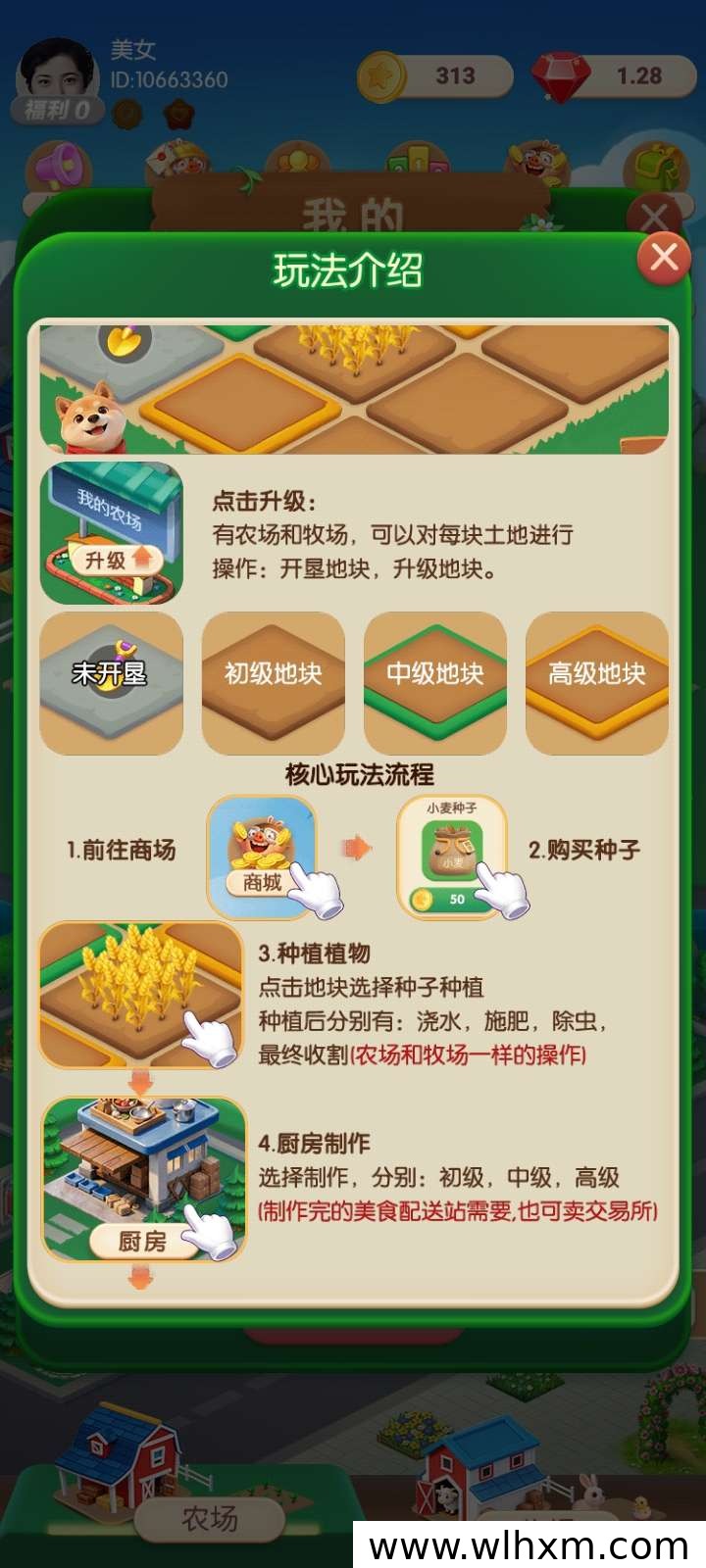 向阳农场玩法解析:从开荒种植到配送站赚钻石的完整流程