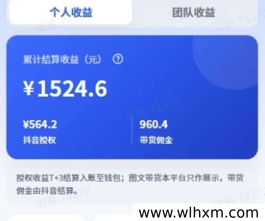 抖闪闪2.0版本功能升级与收益模式说明