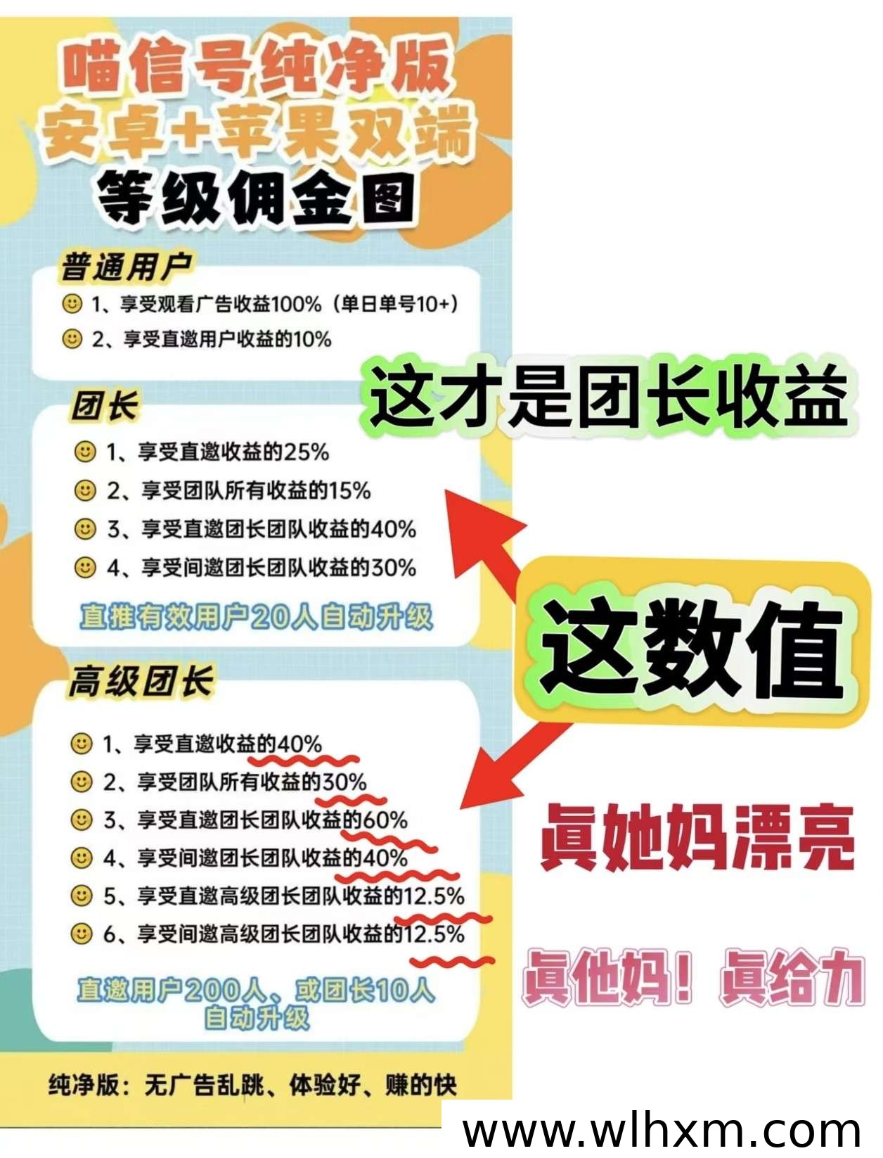 喵信号上线:看广告获取收益的新应用解析