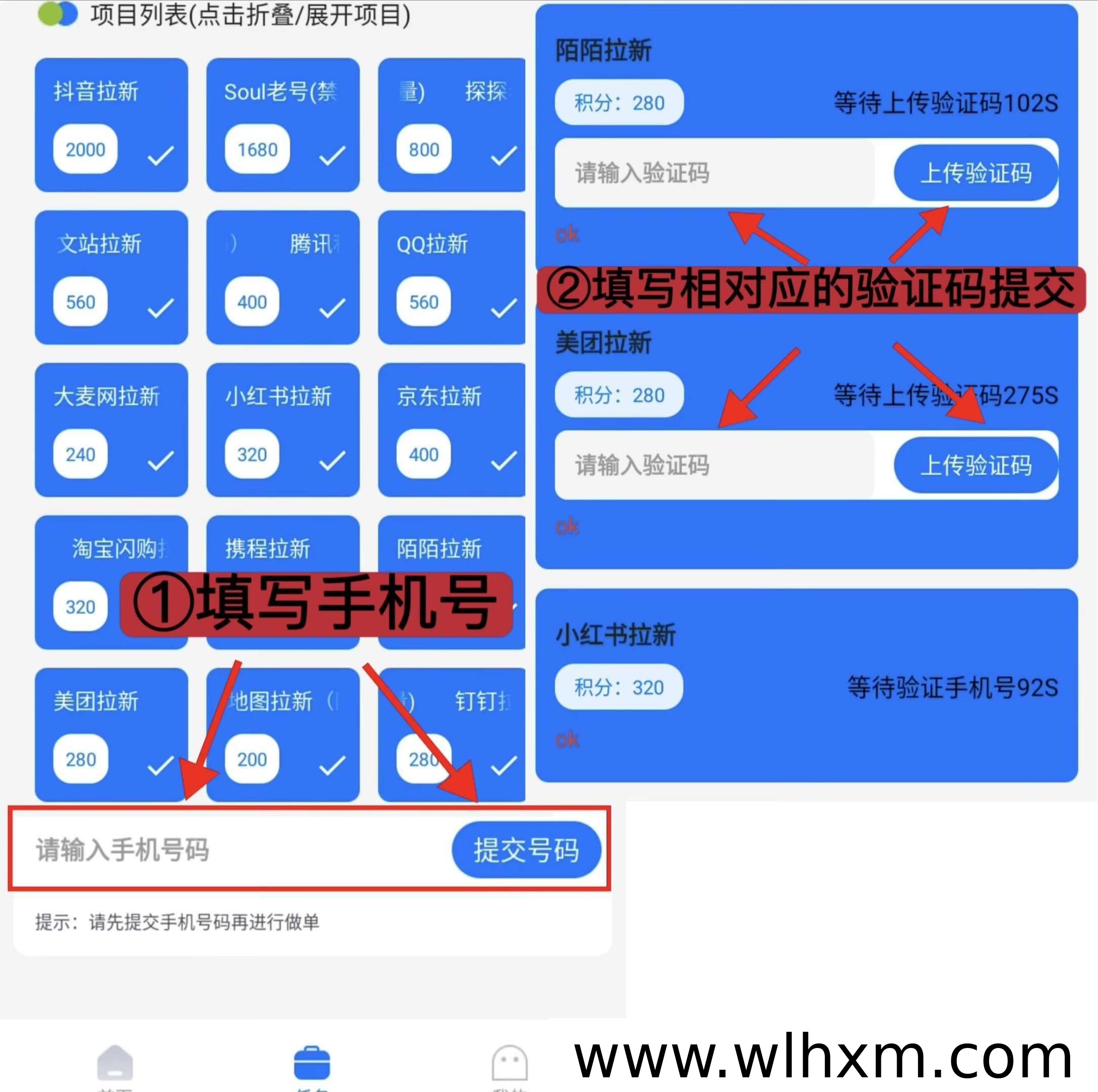 雷霆拉新项目操作流程与收益模式解析