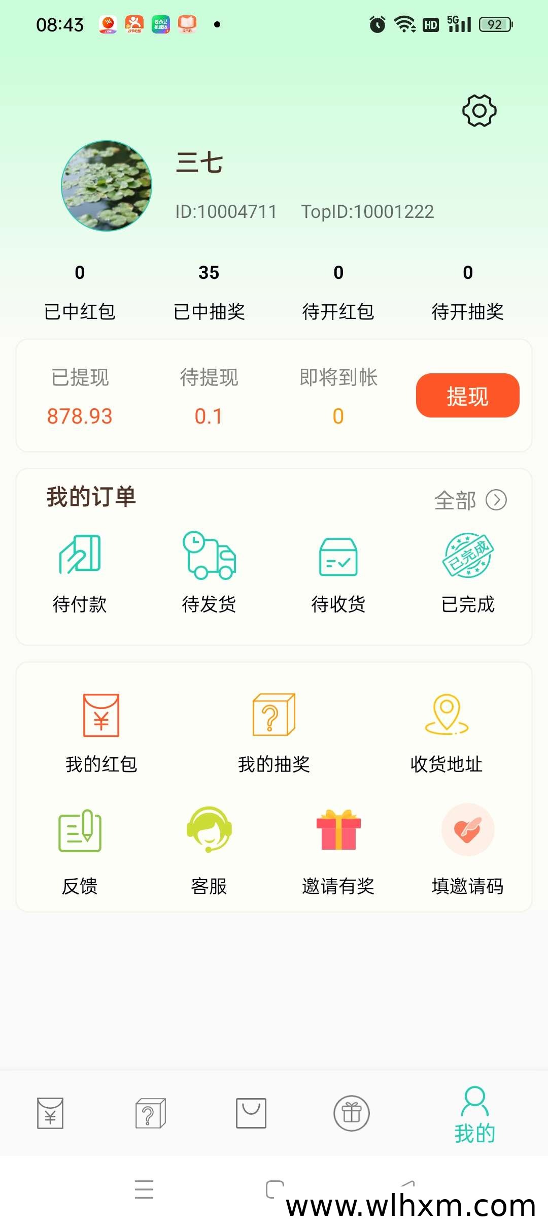 小小番茄任务玩法与收益目标解析