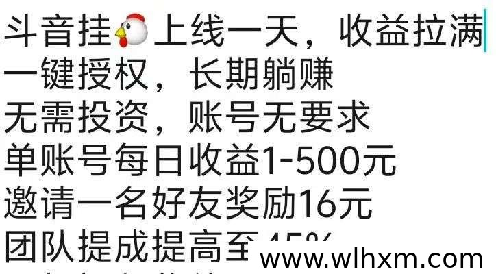 抖音托管副业项目解析:账号授权与带货模式怎么运作