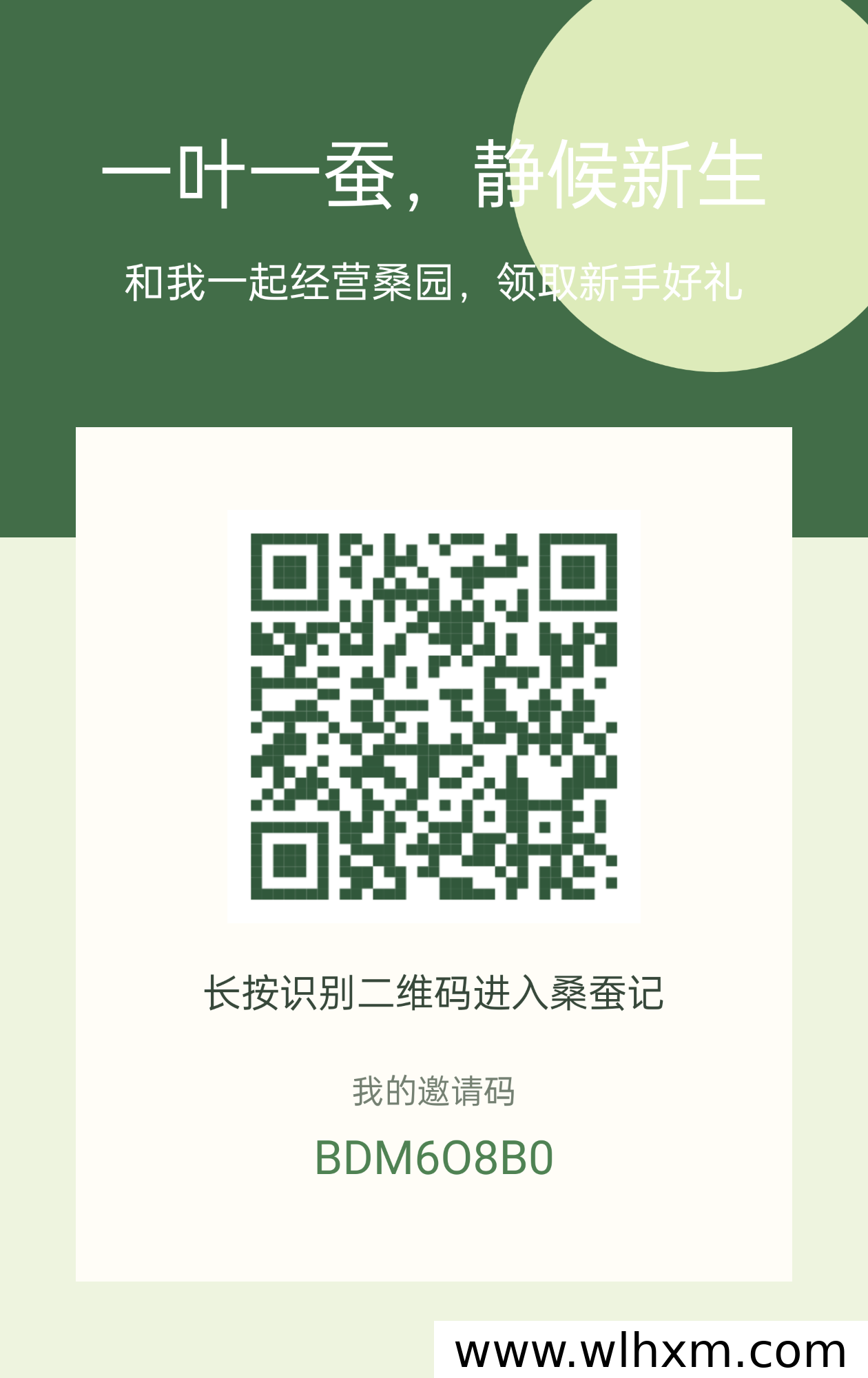 桑蚕记休闲养成玩法解析:碎片时间养蚕收获蚕丝
