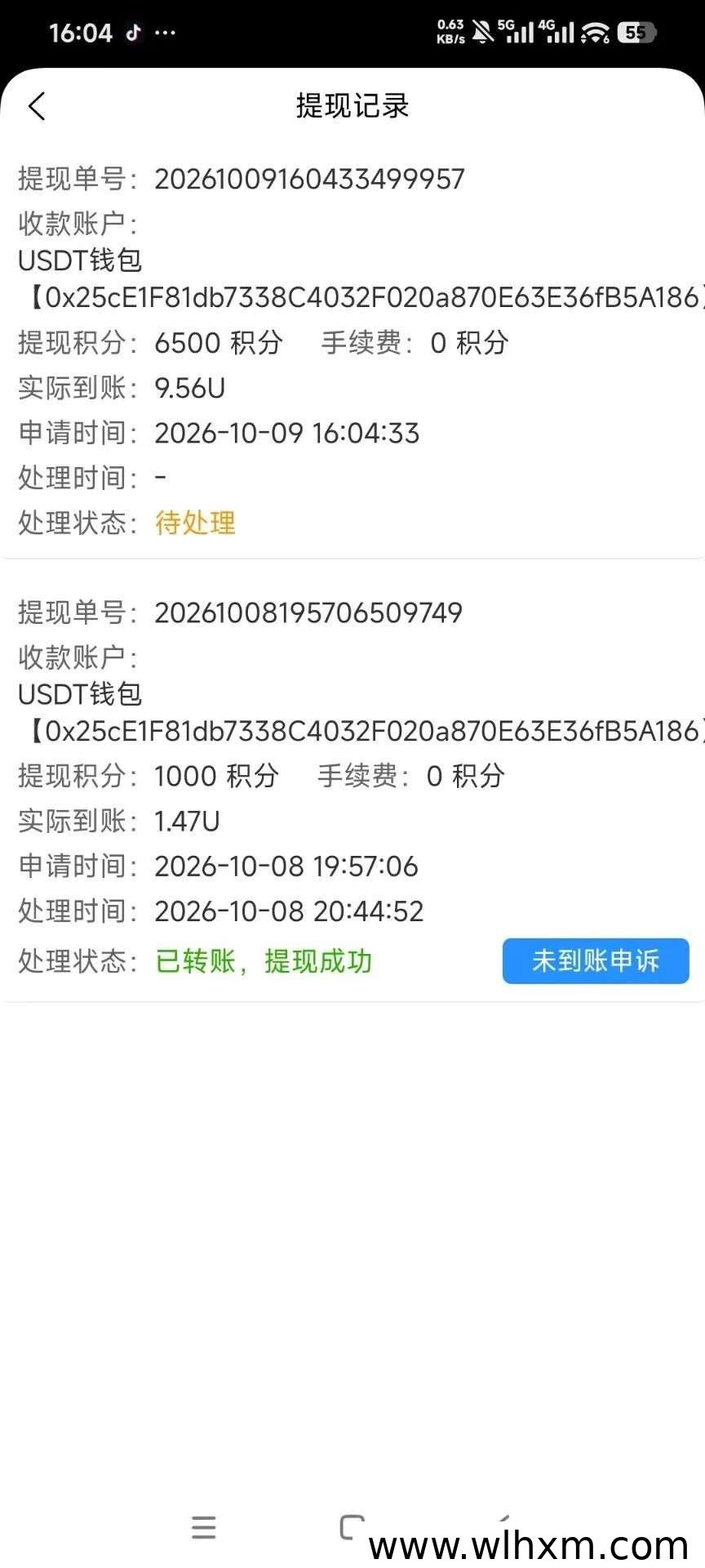 雷霆副业新选择:简单操作获取多重收益
