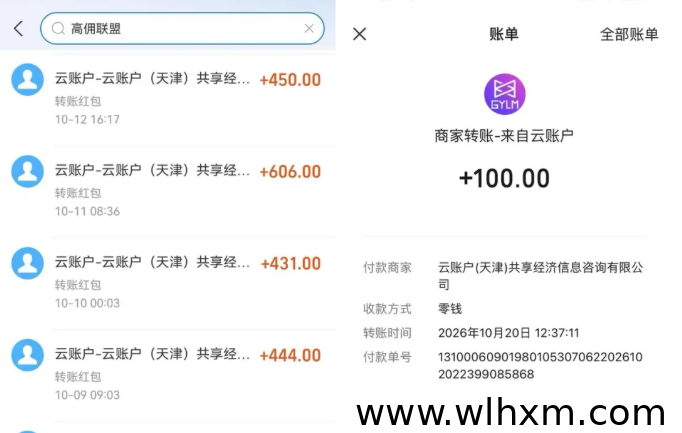 高佣联盟广告项目解析:新人福利、收益方式与团队政策说明