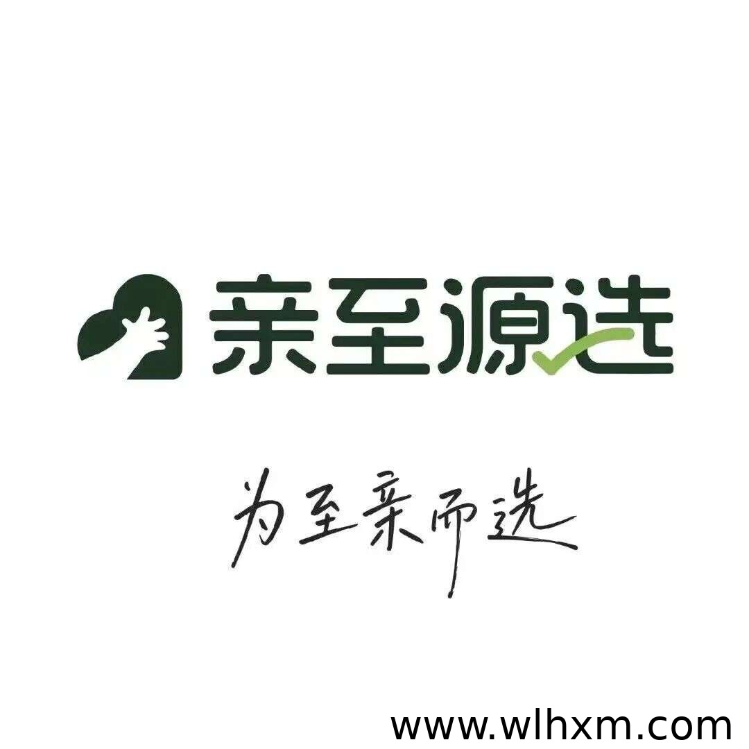 亲至源选商城上线:吴召国打造轻创业电商新平台