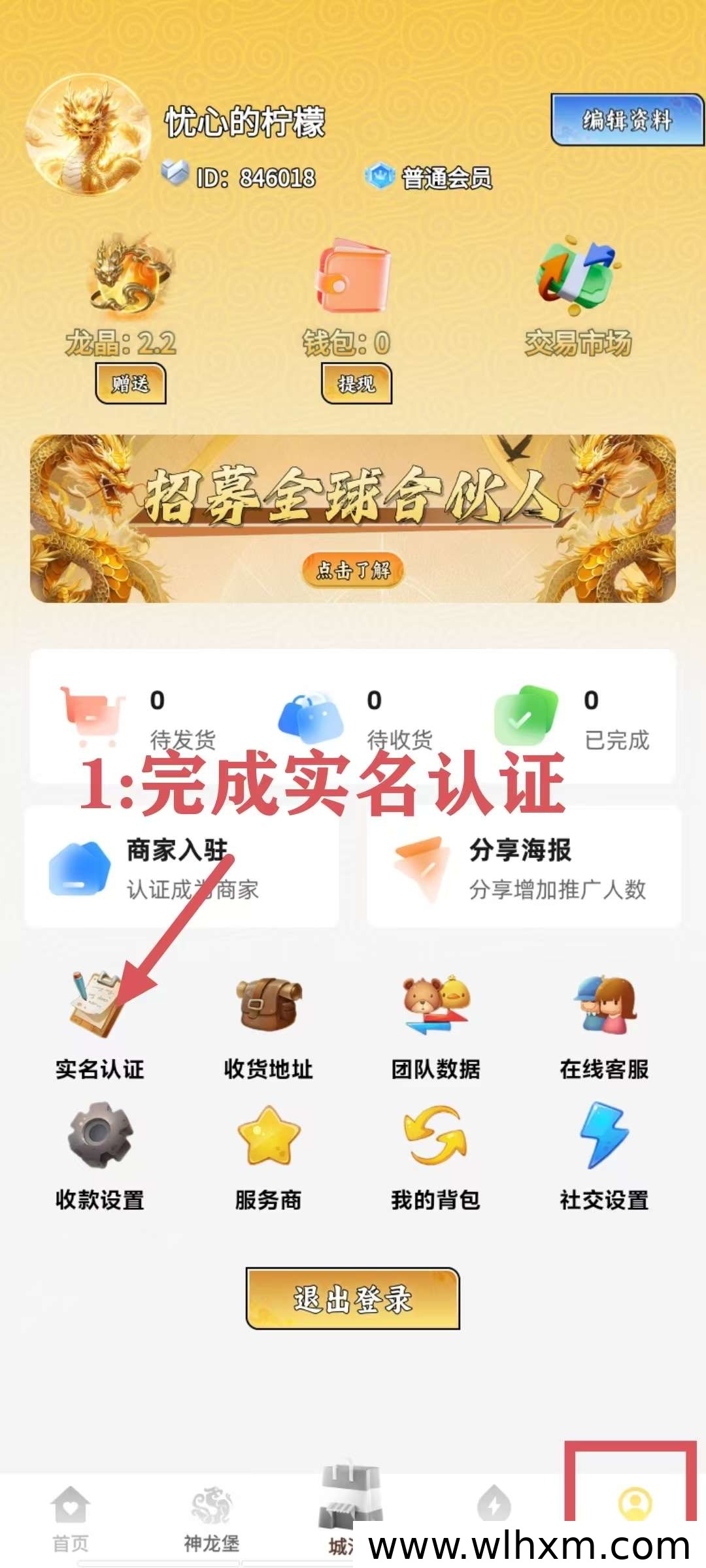 神龙之城零撸玩法解析:注册送养鱼池与龙晶回收机制