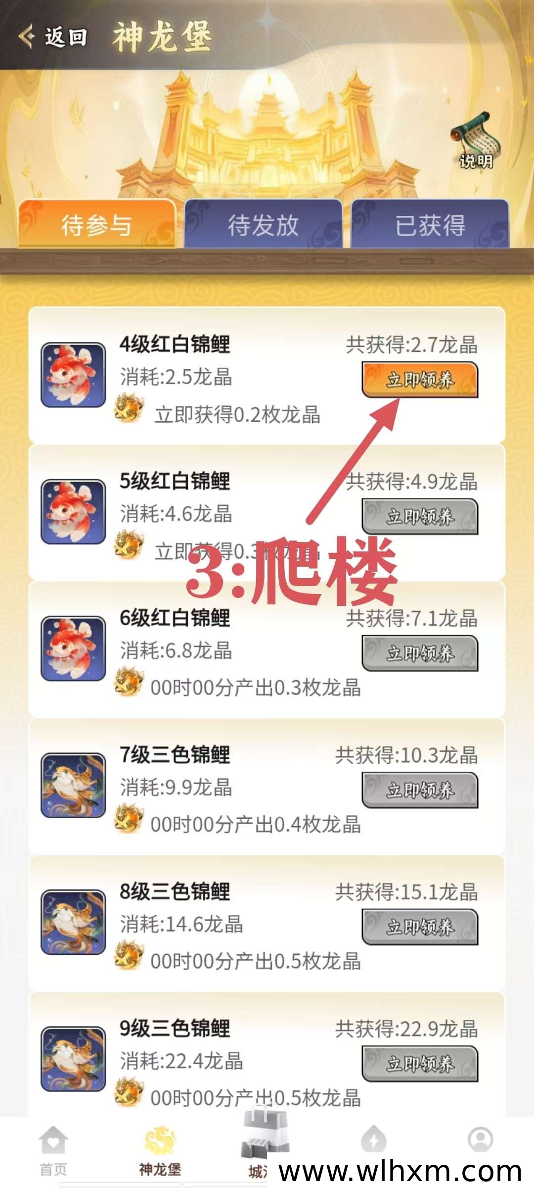 神龙之城零撸玩法解析:注册送养鱼池与龙晶回收机制