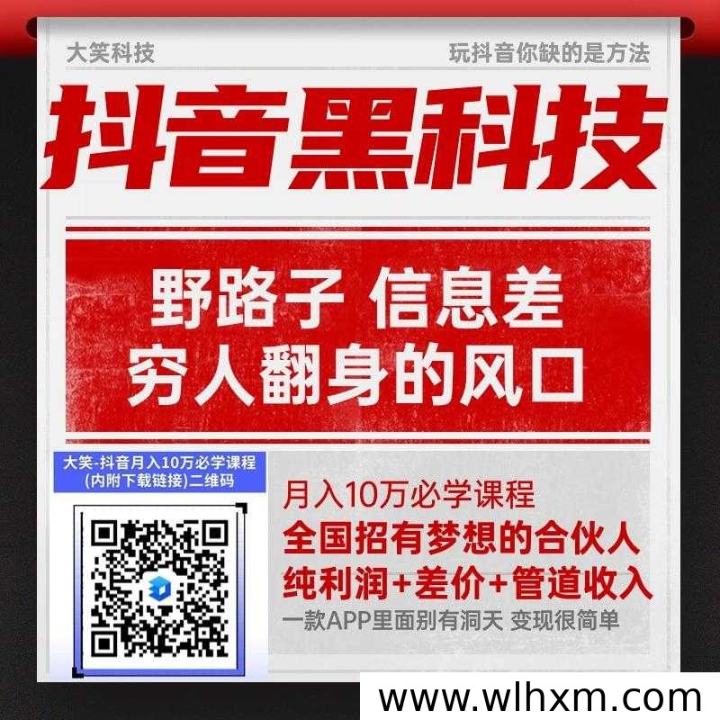 抖音直播数据包装软件解析:功能、风险与变现思路