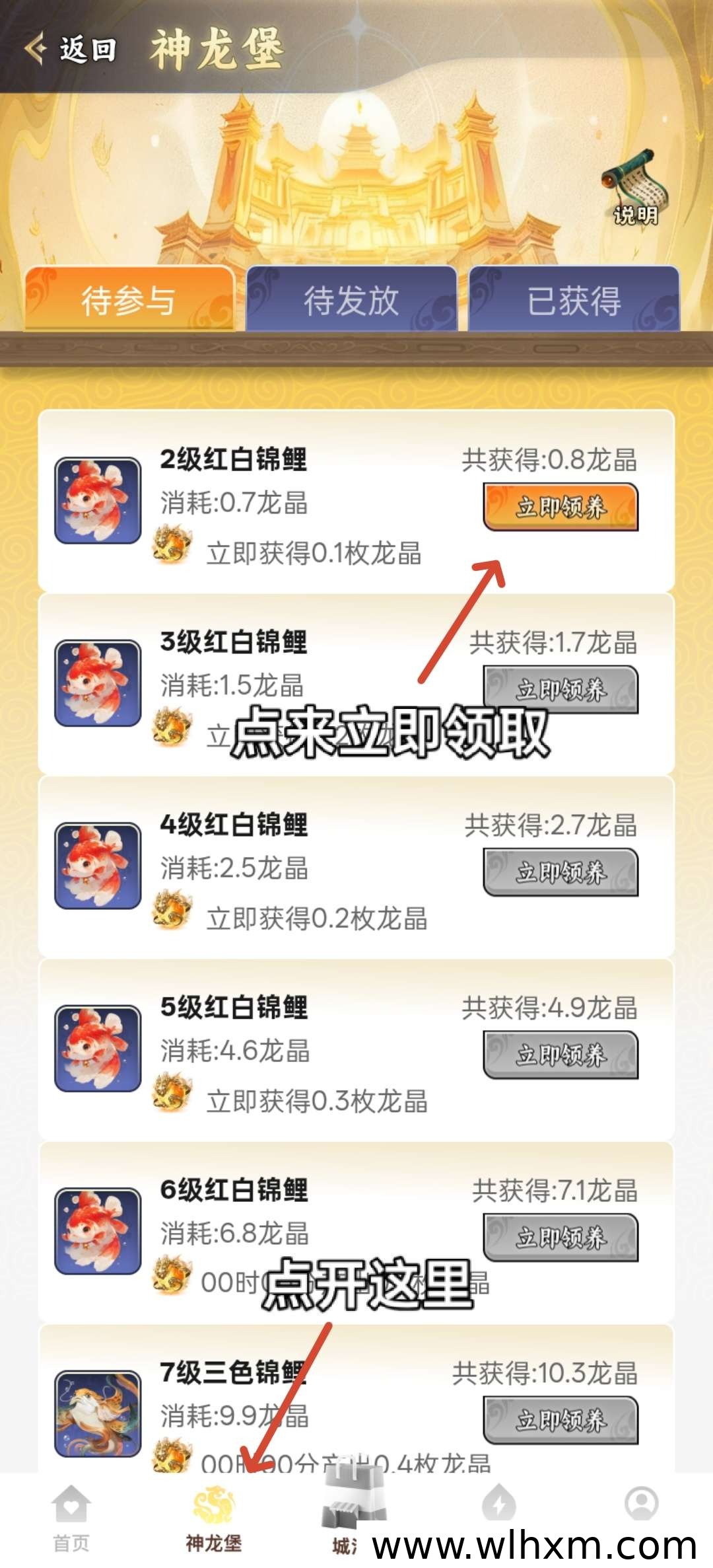 神龙之城新用户注册福利与龙晶产出机制解析
