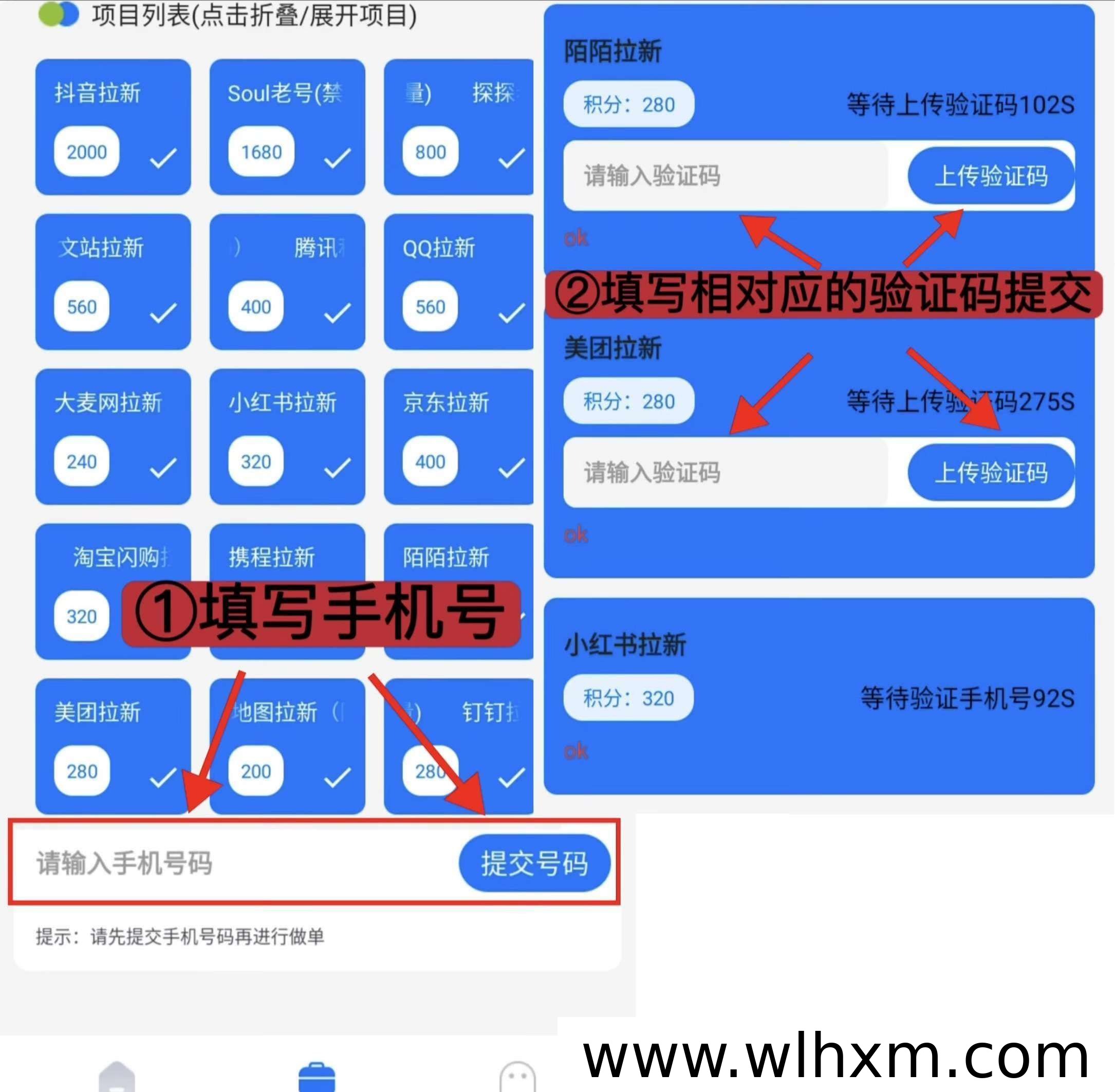 雷霆拉新项目实测:接码流程与收益对比解析