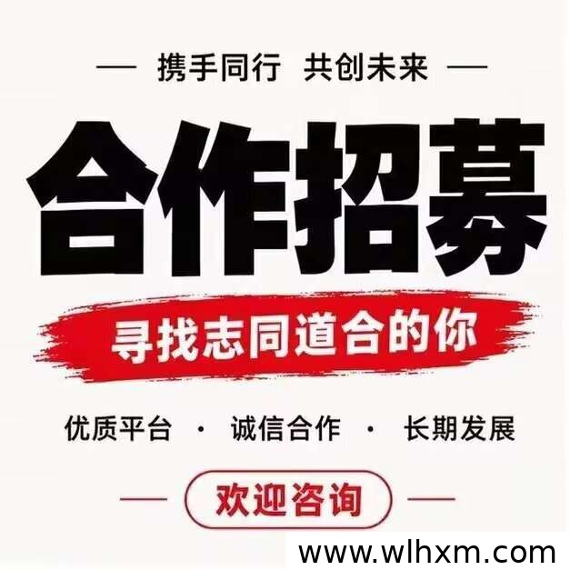雷霆拉新平台玩法解析:高收益任务与操作模式说明