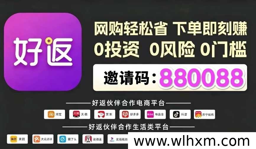 双十一返利工具怎么选?网购达人实测佣金与省钱技巧