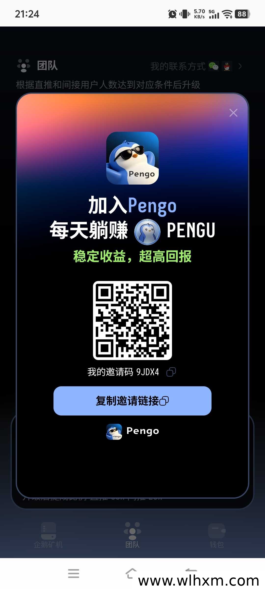 企鹅生态项目玩法解析:注册奖励与团队收益机制说明
